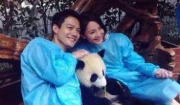 天涯真实爆料帖周迅视频